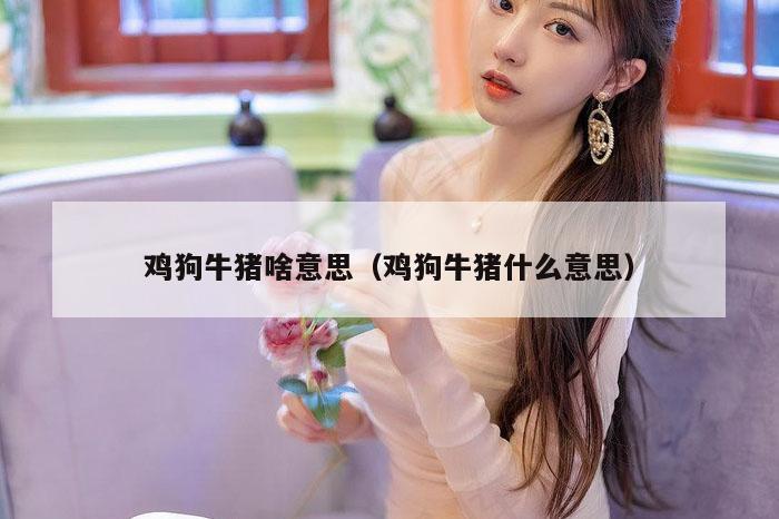 鸡狗牛猪啥意思（鸡狗牛猪什么意思）